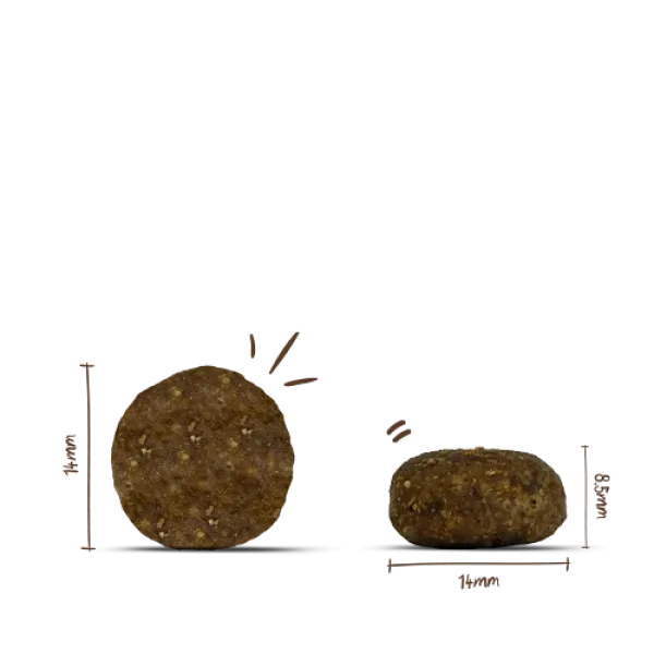 Bosch PLUS Strauß & Kartoffel 2,5kg